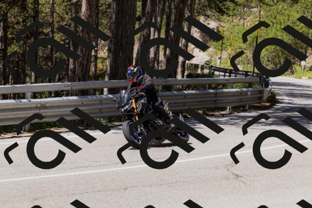 202506281206-_04A4820_c3_