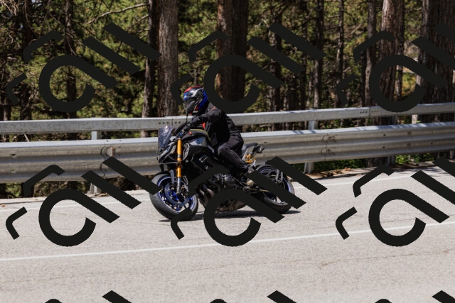 202506281206-_04A4821_c3_