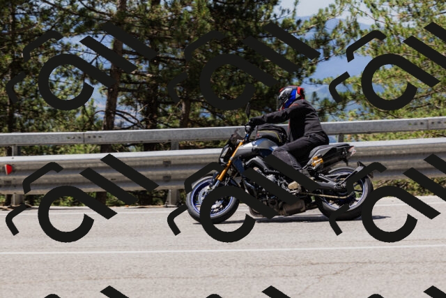 202506281206-_04A4823_c3_