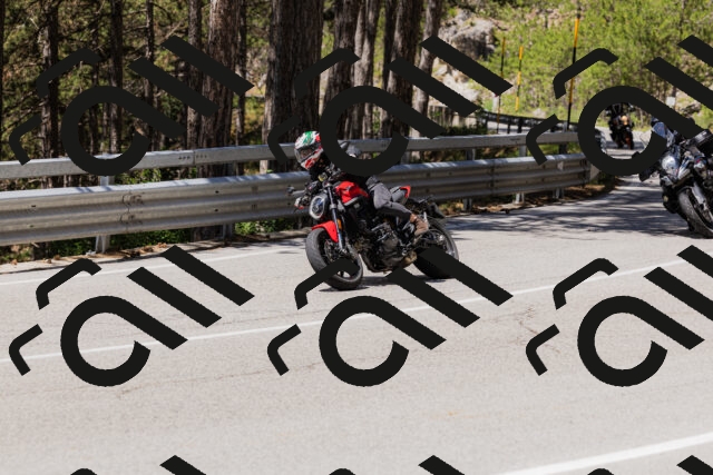 202506281206-_04A4826_c3_