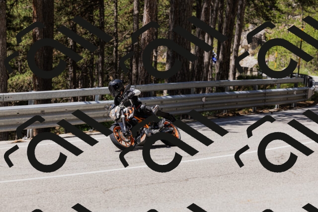 202506281206-_04A4828_c3_