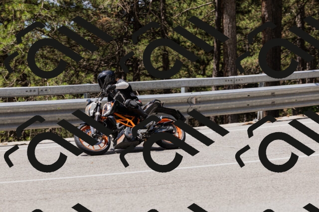 202506281206-_04A4829_c3_