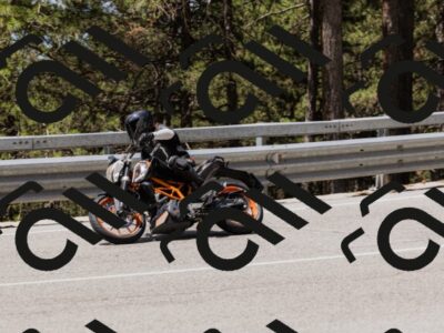 202506281206-_04A4829_c3_