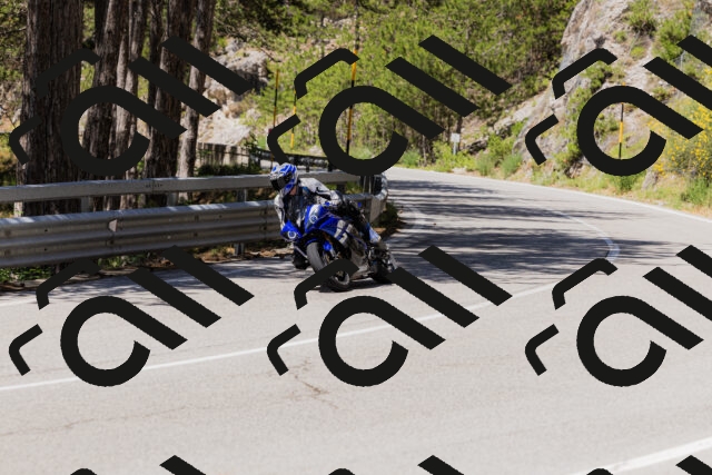 202506281206-_04A4831_c3_