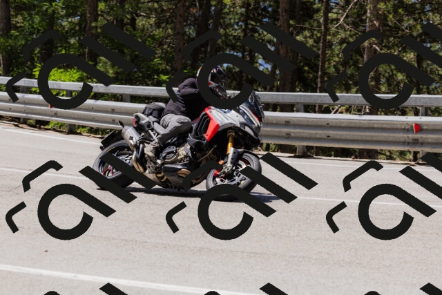 202506281208-_04A4847_c3_