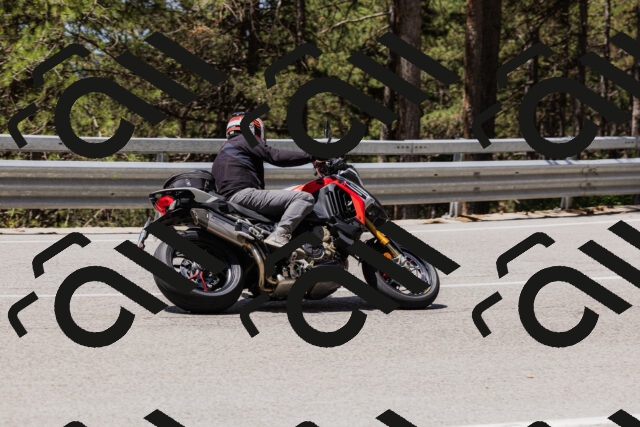 202506281208-_04A4849_c3_