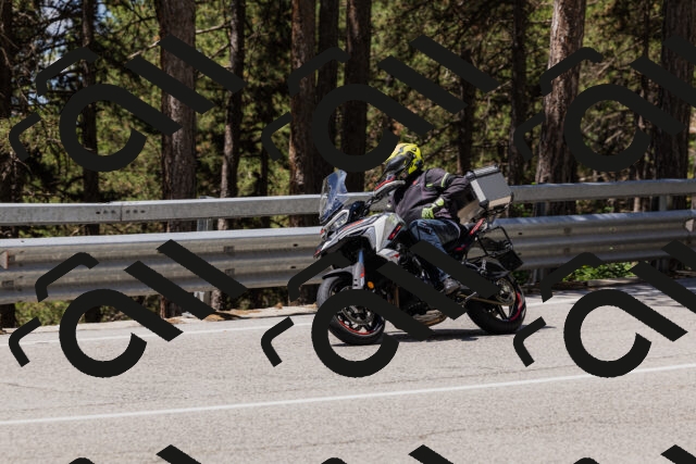 202506281210-_04A4854_c3_