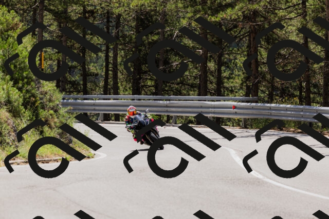 202506281212-_04A4861_c3_