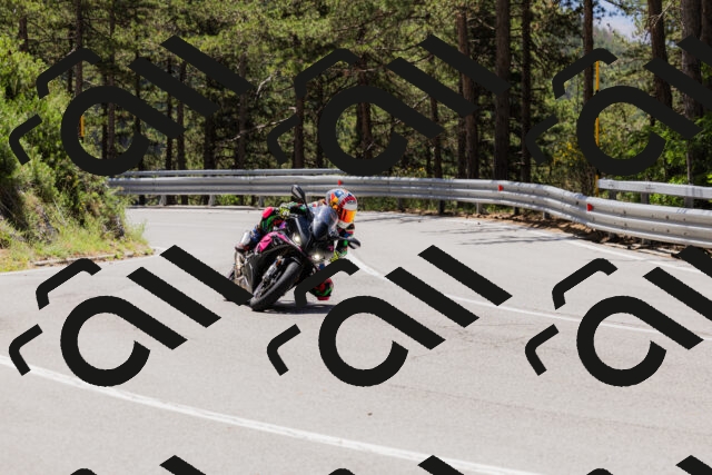 202506281212-_04A4864_c3_