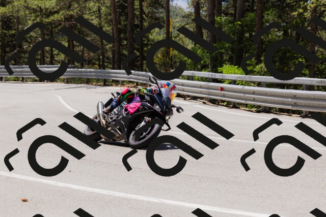 202506281212-_04A4865_c3_