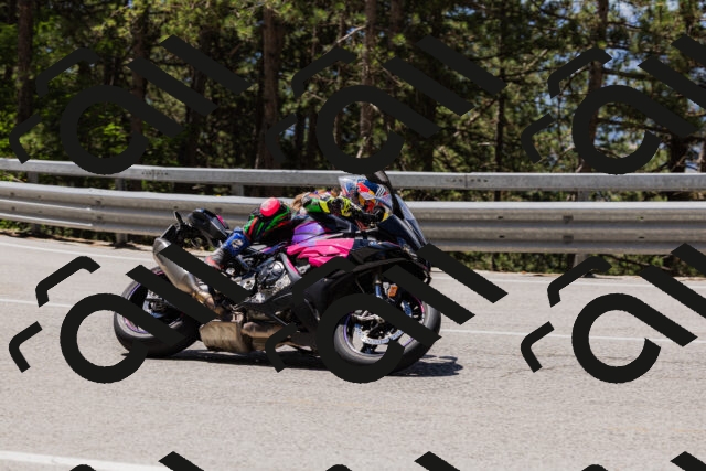 202506281212-_04A4866_c3_