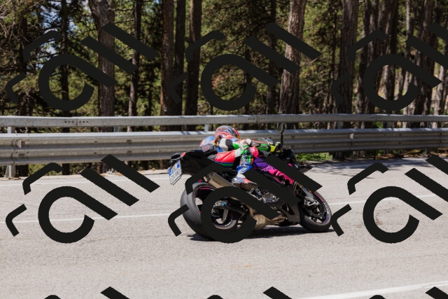 202506281212-_04A4868_c3_