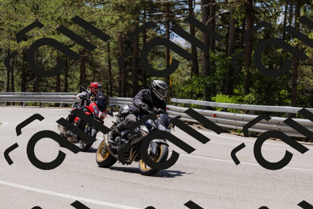 202506281212-_04A4869_c3_