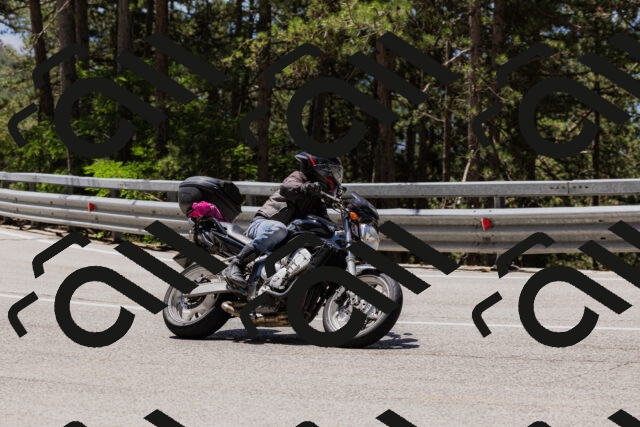 202506281212-_04A4873_c3_