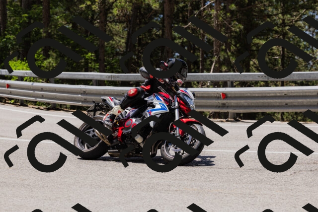 202506281212-_04A4881_c3_