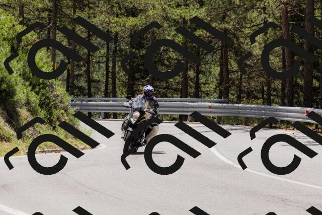 202506281212-_04A4886_c3_