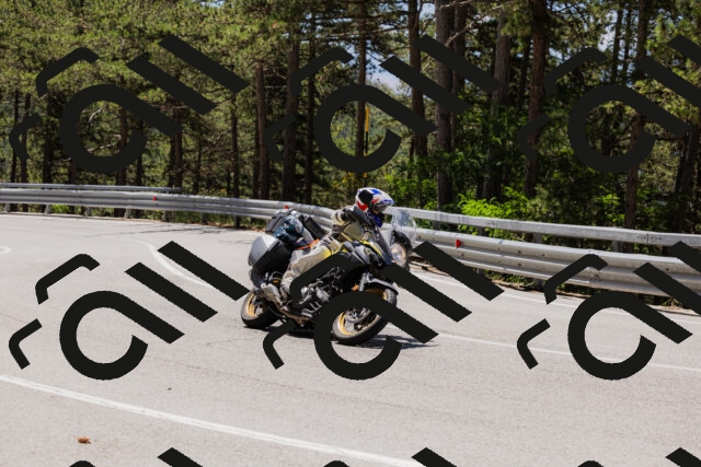 202506281212-_04A4887_c3_