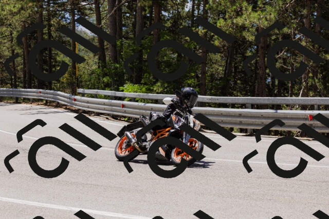 202506281216-_04A4906_c3_