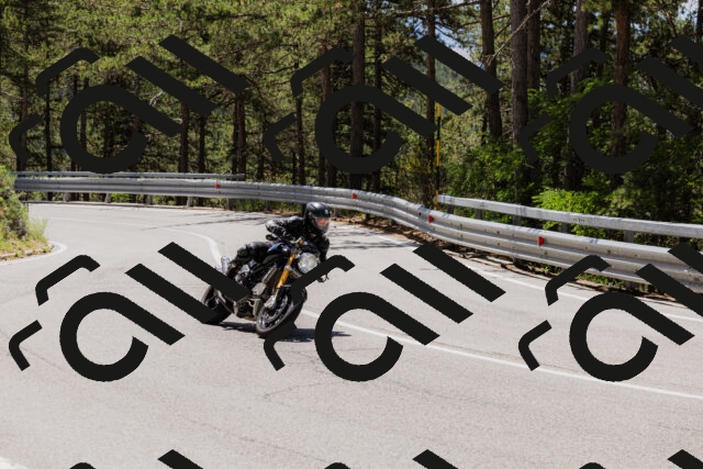 202506281218-_04A4921_c3_