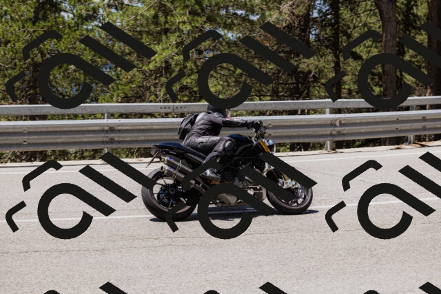 202506281218-_04A4924_c3_