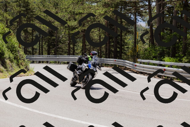 202506281219-_04A4928_c3_