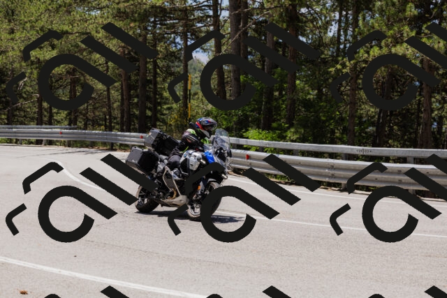 202506281219-_04A4929_c3_