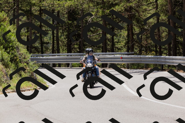 202506281220-_04A4938_c3_