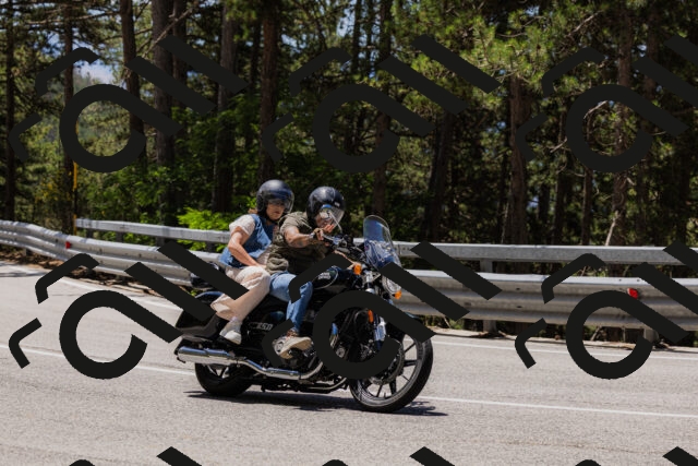 202506281220-_04A4940_c3_