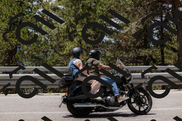 202506281220-_04A4943_c3_