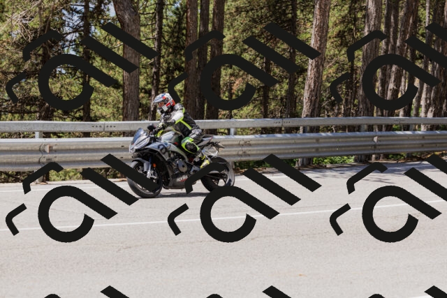 202506281221-_04A4946_c3_