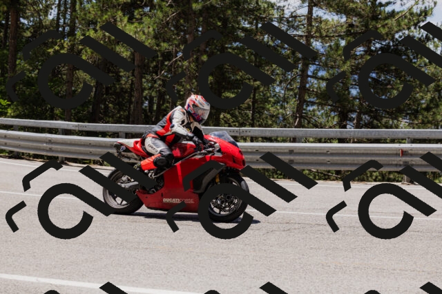 202506281222-_04A4950_c3_