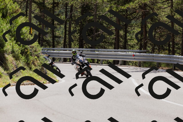 202506281223-_04A4954_c3_