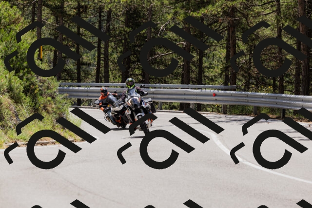 202506281223-_04A4955_c3_