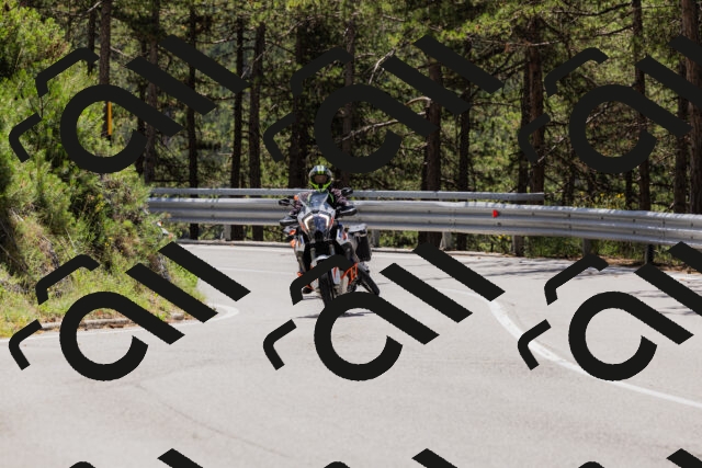 202506281223-_04A4956_c3_