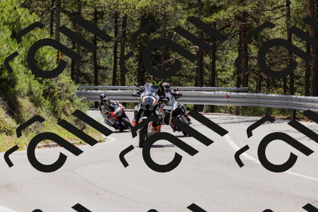 202506281223-_04A4957_c3_