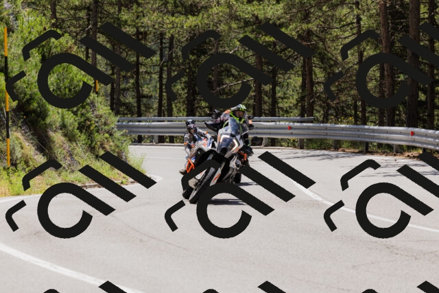 202506281223-_04A4958_c3_