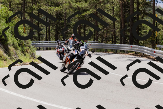 202506281223-_04A4959_c3_