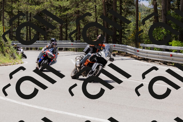 202506281223-_04A4960_c3_