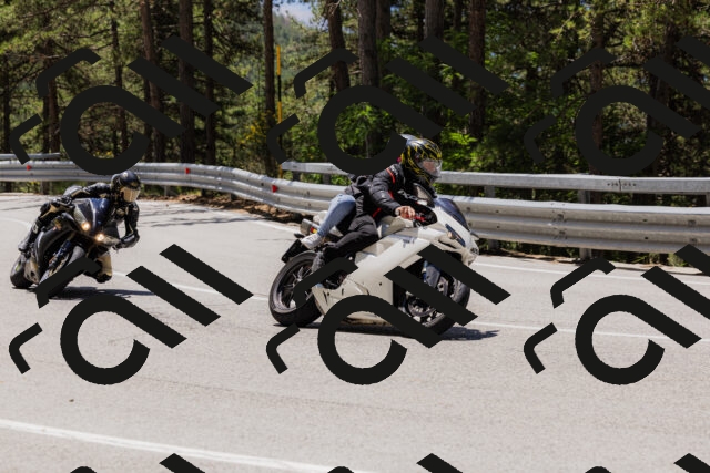 202506281223-_04A4963_c3_