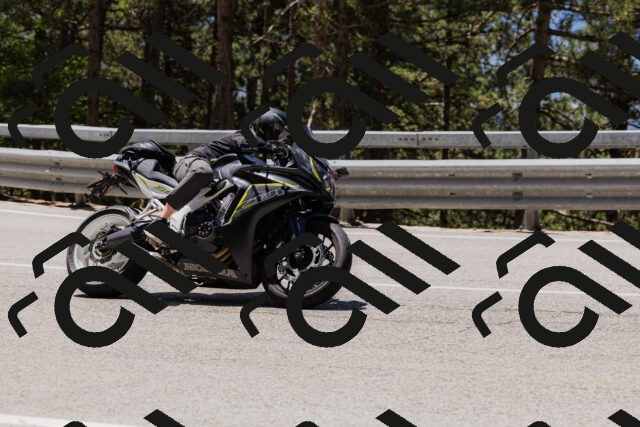 202506281224-_04A4973_c3_