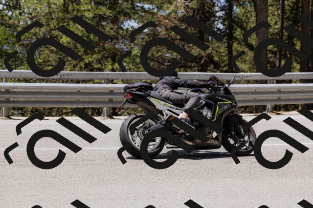 202506281224-_04A4975_c3_