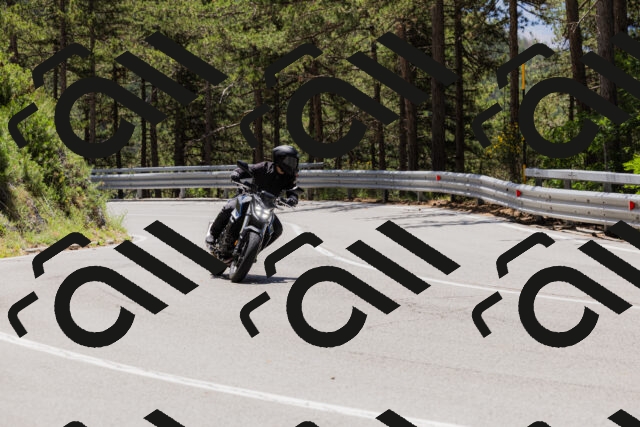 202506281224-_04A4980_c3_