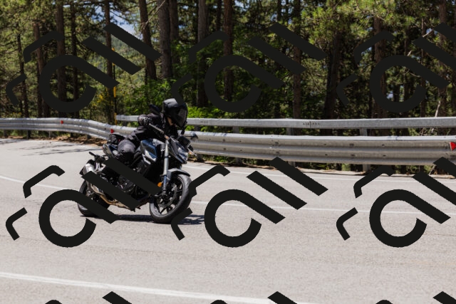 202506281224-_04A4981_c3_