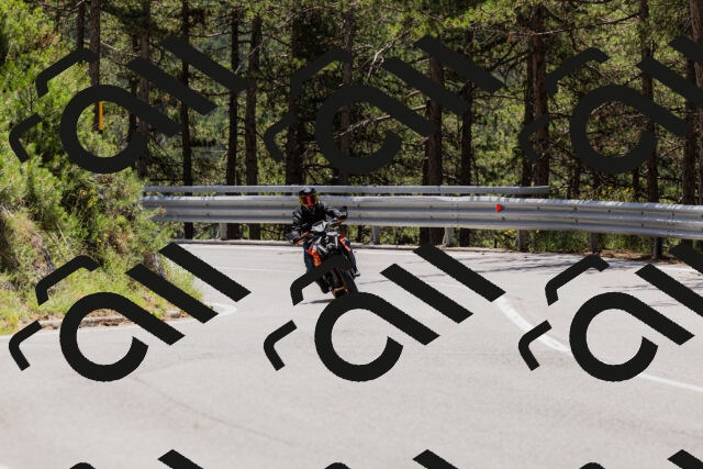 202506281224-_04A4984_c3_