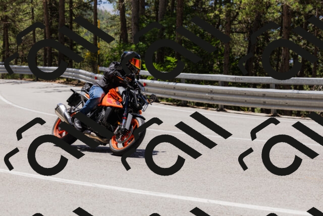 202506281224-_04A4987_c3_