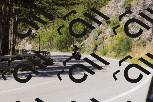 202506281225-_04A4995_c3_