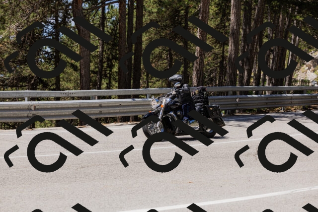 202506281225-_04A4996_c3_