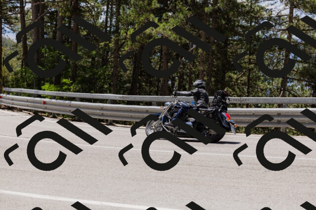 202506281225-_04A4999_c3_