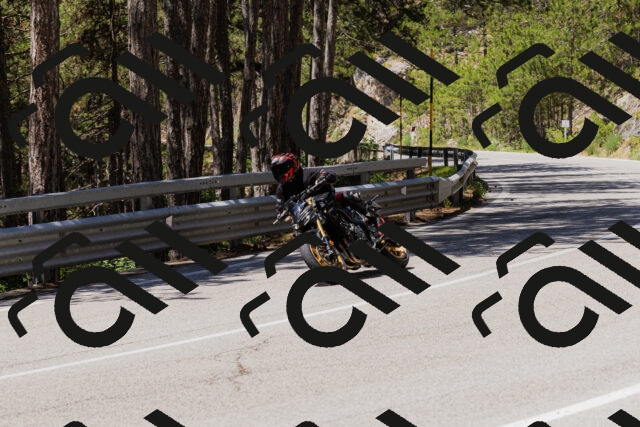 202506281225-_04A5001_c3_