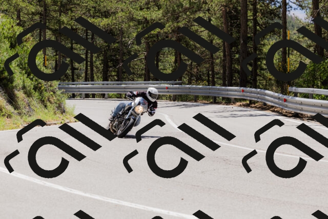 202506281230-_04A5008_c3_